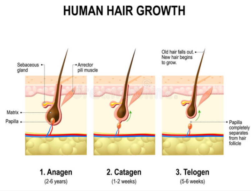 Laser Comb For Hair loss